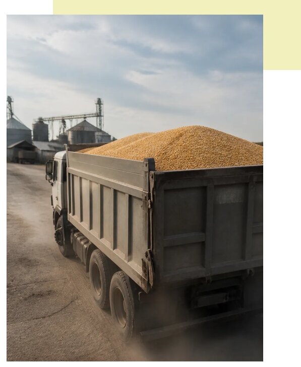 Перевозка сельхозпродукции навалом в Вольск по цене от 3038 р. | Агросервис-Вль