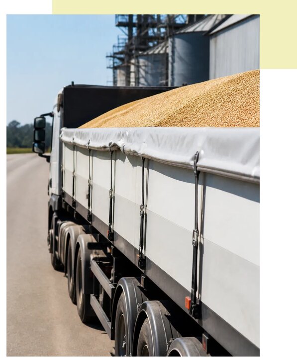 Перевозка сои автотранспортом в Вольск по цене от 5418 р. | Агросервис-Вль
