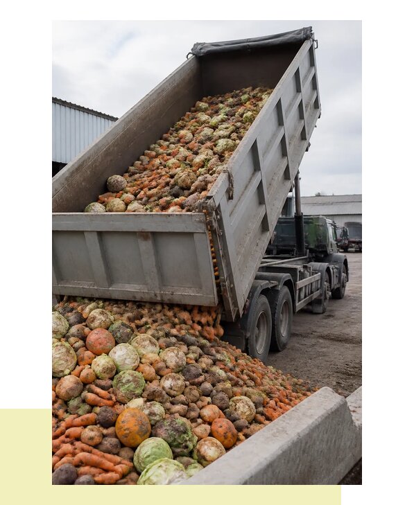 Перевозка овощей навалом с доставкой автотранспортом в Вольск